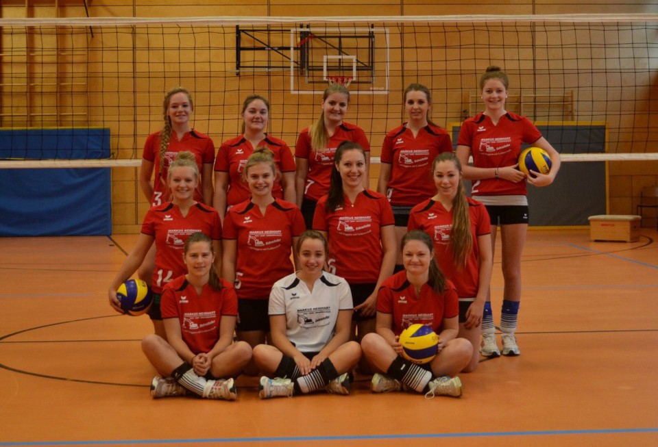 Damen Mannschaft Volleyball 2015/2016